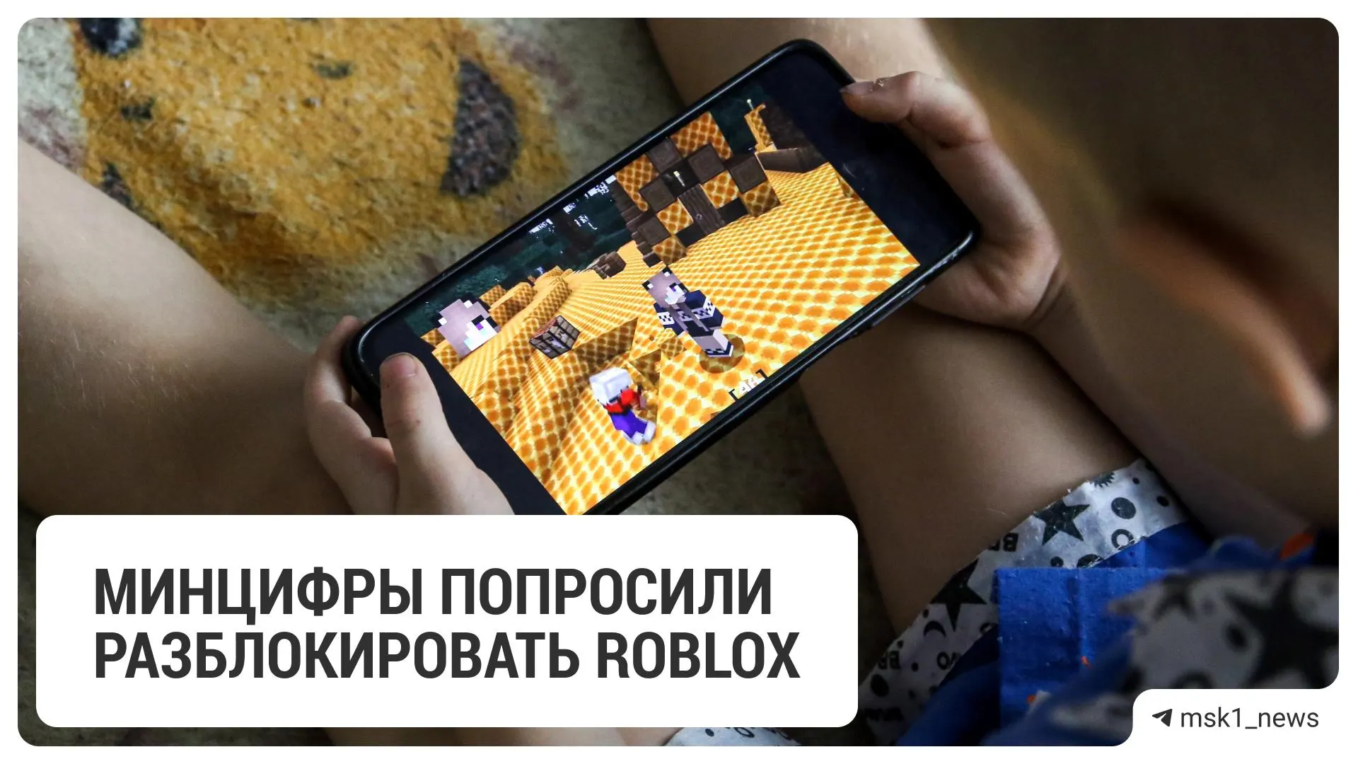 Платформа предоставила гарантии соблюдения российского законодательства и предложила комплекс мер по защите детей от вредной и опасной информации.
