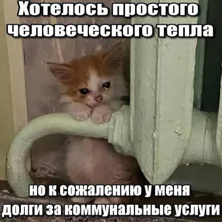 Суд подтвердил, что по общему правилу ГК РФ срок исковой давности в три года препятствует включению в квитанции долгов за капитальный ремонт старше этого срока и защищает должников от принудительного взыскания.
