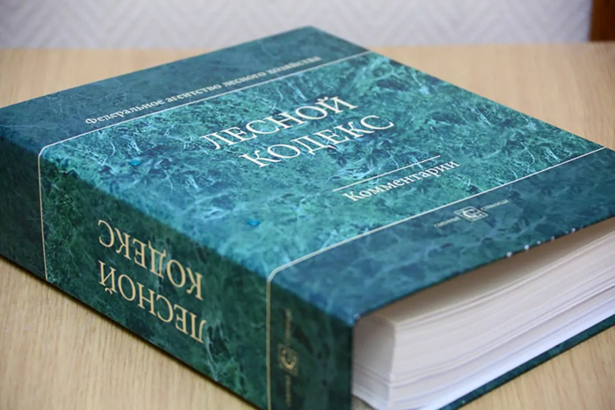 По словам лесного эксперта, многочисленные поправки превратили кодекс фактически в новый документ; он предлагает заменить его упрощённым и компактным актом.