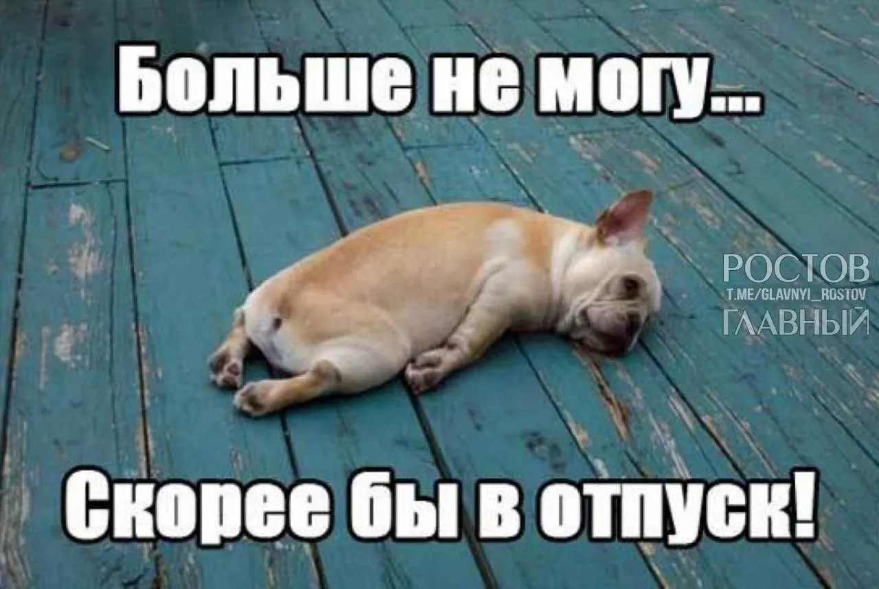 В Госдуме инициировали повышение минимальной продолжительности отпуска с 28 до 35 дней, чтобы компенсировать включённые в него выходные и снизить риск профессионального выгорания.