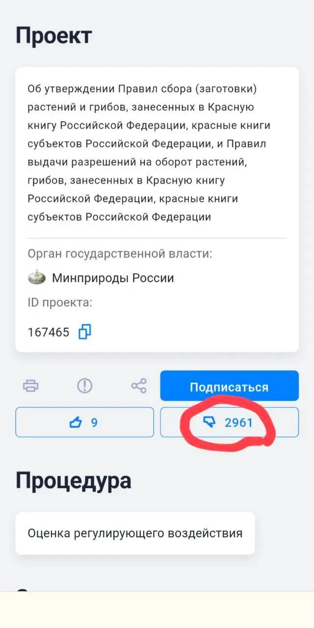Новое постановление разрешает пересаживать и собирать редкие виды при отсутствии альтернатив размещения объектов — экологов и граждан это встревожило.