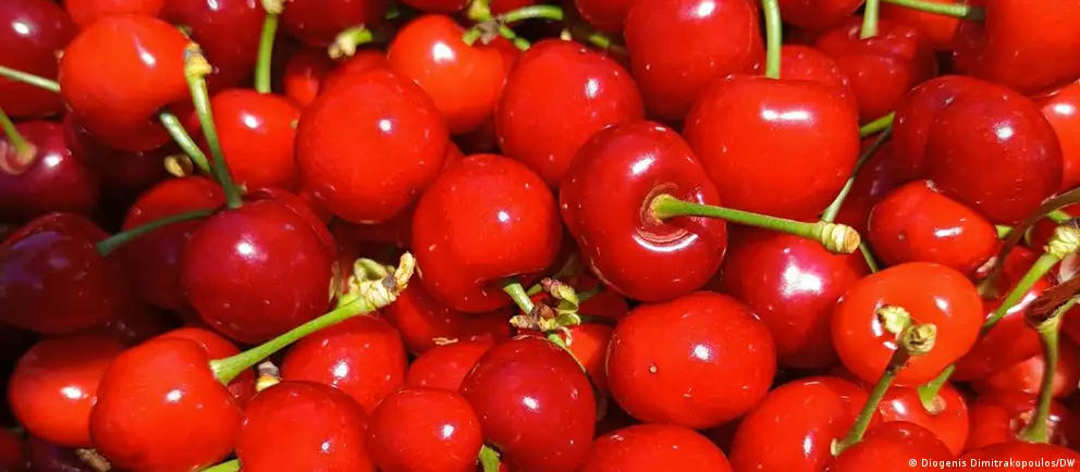С 12 июня российская фитосанитарная служба ввела полный запрет на ввоз, реэкспорт и транзит растительной продукции из Армении после выявления в партиях орехов и сухофруктов опасного вредителя. Ограничения действуют до согласования механизмов контроля и прослеживаемости поставок.