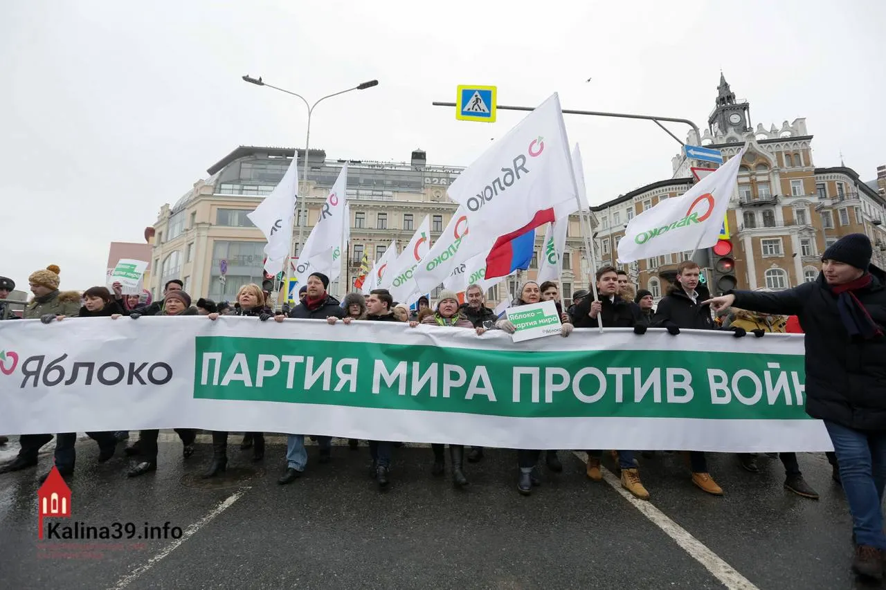 Регистрация федерального списка «Яблока» видится экспертам способом канализовать протестные настроения. Партия представлена, но многие её известные политики не допущены к выборам — голосование остаётся одной из немногих легальных форм выражения позиции.