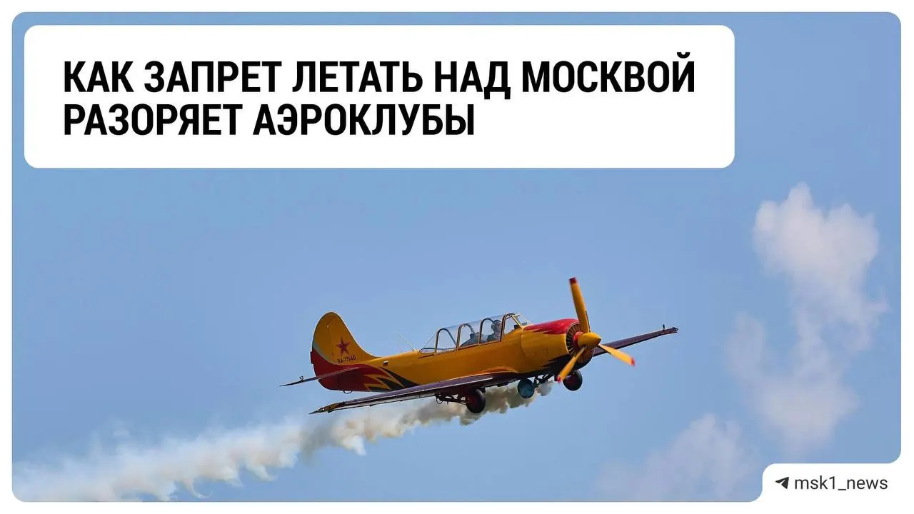 Ограничения на полёты и неопределённость дальнейших действий ударили по доходам аэроклубов в Подмосковье; предприниматели ищут выход.