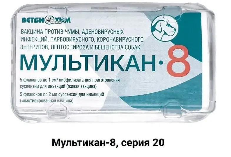 Владельцы животных требуют независимого анализа после гибели собак после прививки вакциной Мультикан-8; зафиксированы случаи в нескольких регионах, возможны нарушения технологии производства.