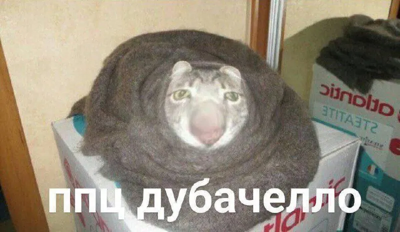 Кусинский район получит тепло 15 сентября: сначала в детсады, школы и соцучреждения, затем — в жилые дома. В Озерске отопление включат 16 сентября — пока только в соцучреждениях. В остальных городах области точные даты пока не озвучены.