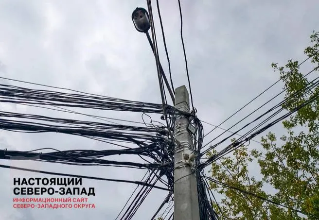 ФАС предлагает учитывать расходы на защиту электросетей и ремонт после повреждений в тарифах, что может привести к росту счетов для потребителей и бизнеса.